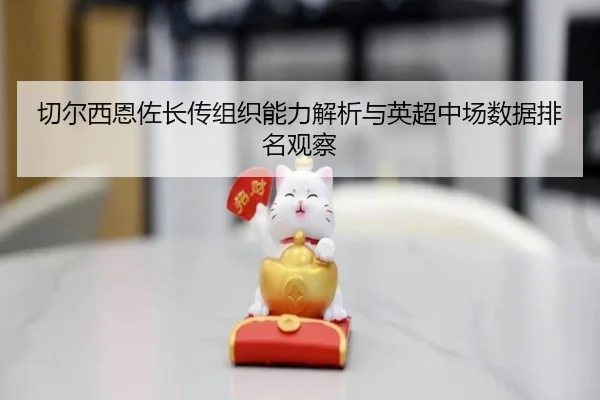 切尔西恩佐长传组织能力解析与英超中场数据排名观察